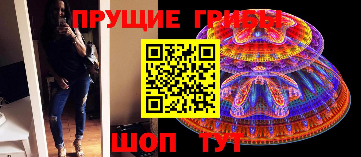 Псилоцибиновые грибы мицелий  Вход с VPN  Кингисепп  Псилоцибиновые грибы мухоморы 
