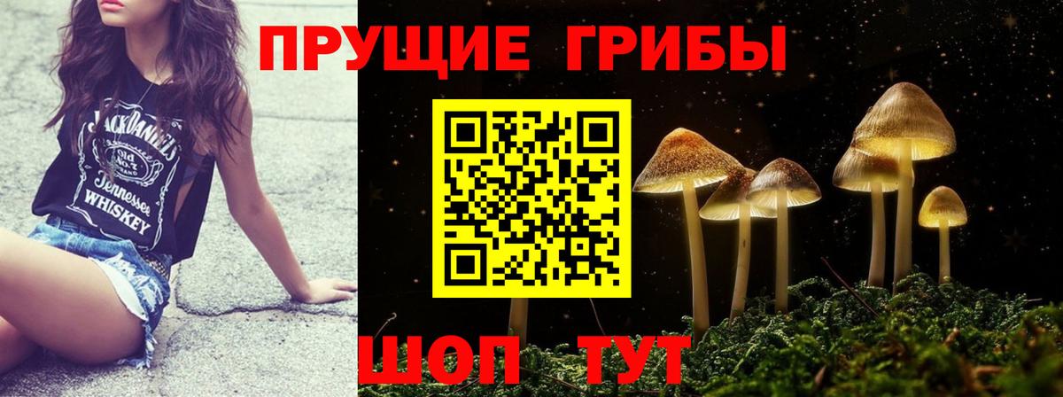Галлюциногенные грибы Cubensis Кингисепп